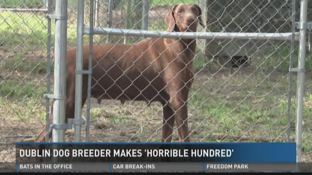 dublin humane society